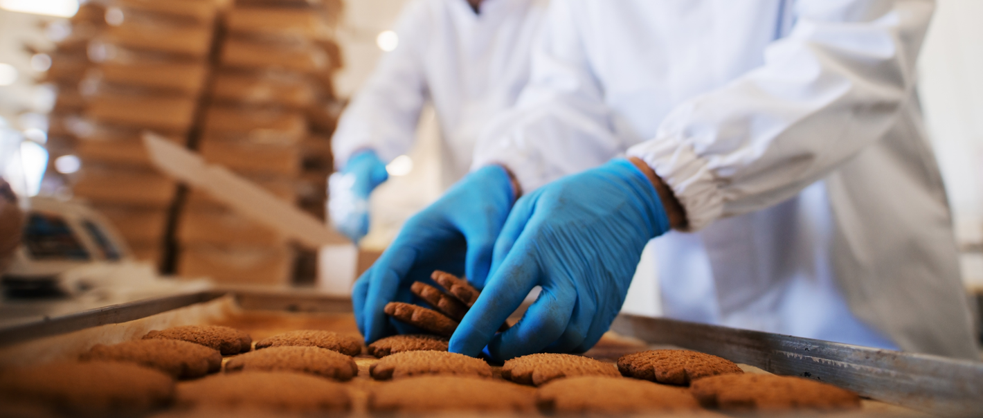 Disposable Gloves