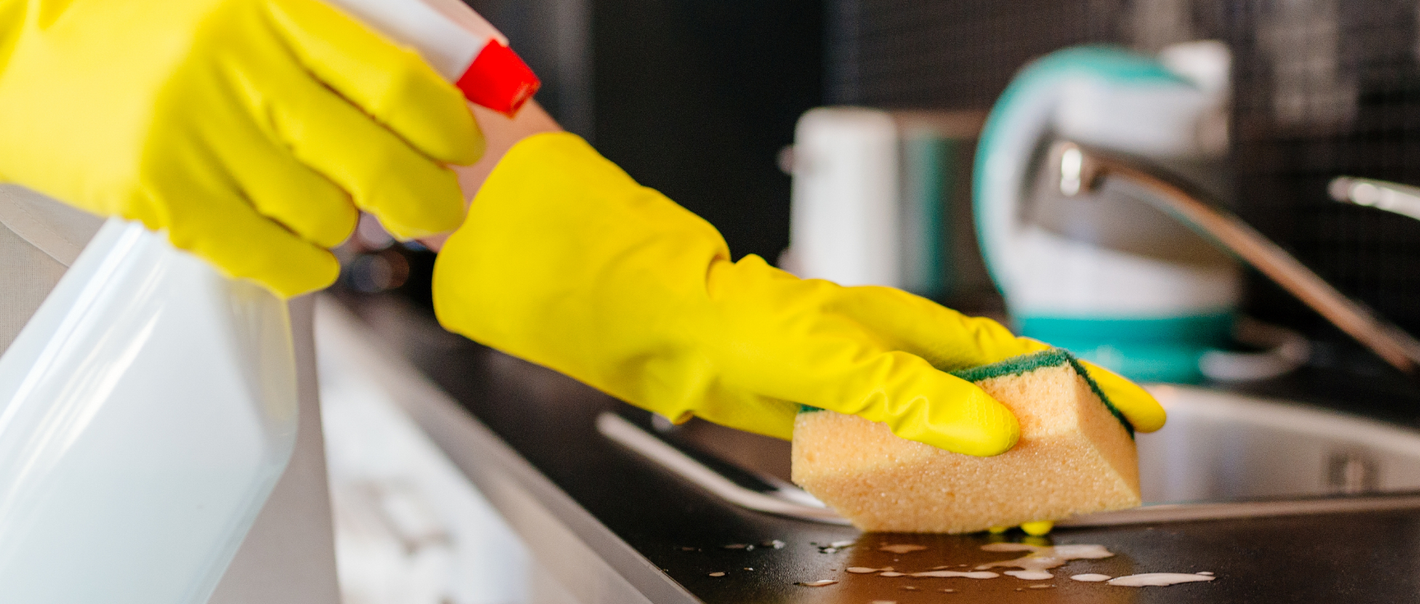 Sponges/Scourers